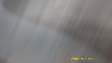 Digital Camera